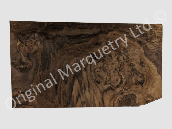 American Cluster Burr Walnut Wood Veneer - Image 2