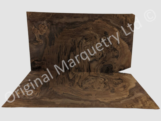 American Cluster Burr Walnut Wood Veneer