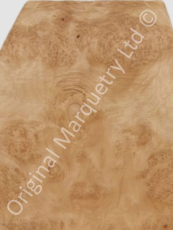 Burr Maple Cluster Wood Veneer - Image 2