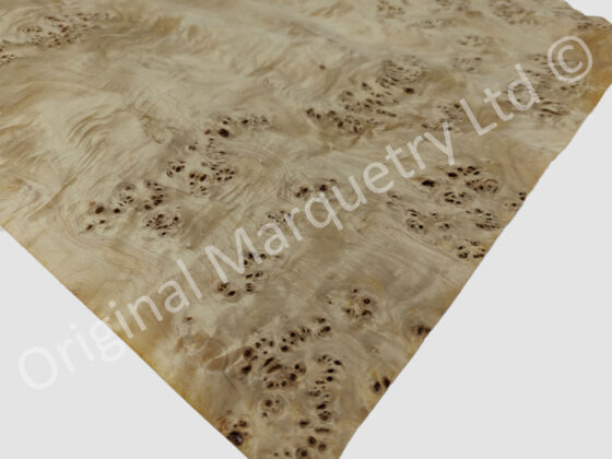 Burr Poplar Wood Veneer - Image 3