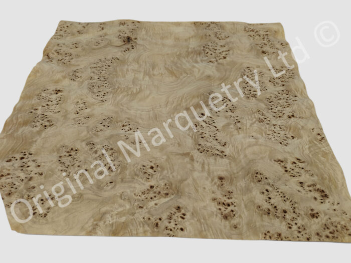 Burr Poplar Burr Poplar Veneer Poplar Burr Veneer Burr Poplar