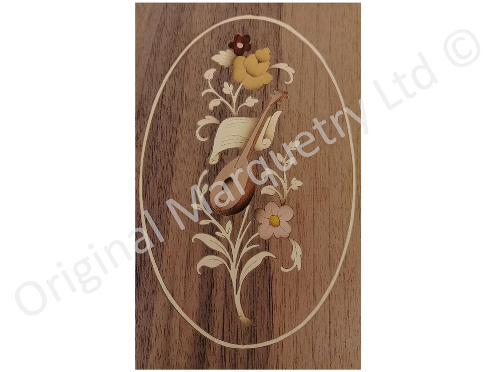Marquetry Mandolin Panels - M9
