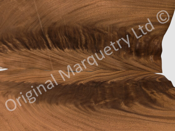 Mahogany Flame Curl Wood Veneer - Image 3