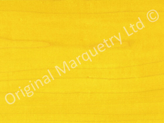 Yellow Coloured Wood Veneer