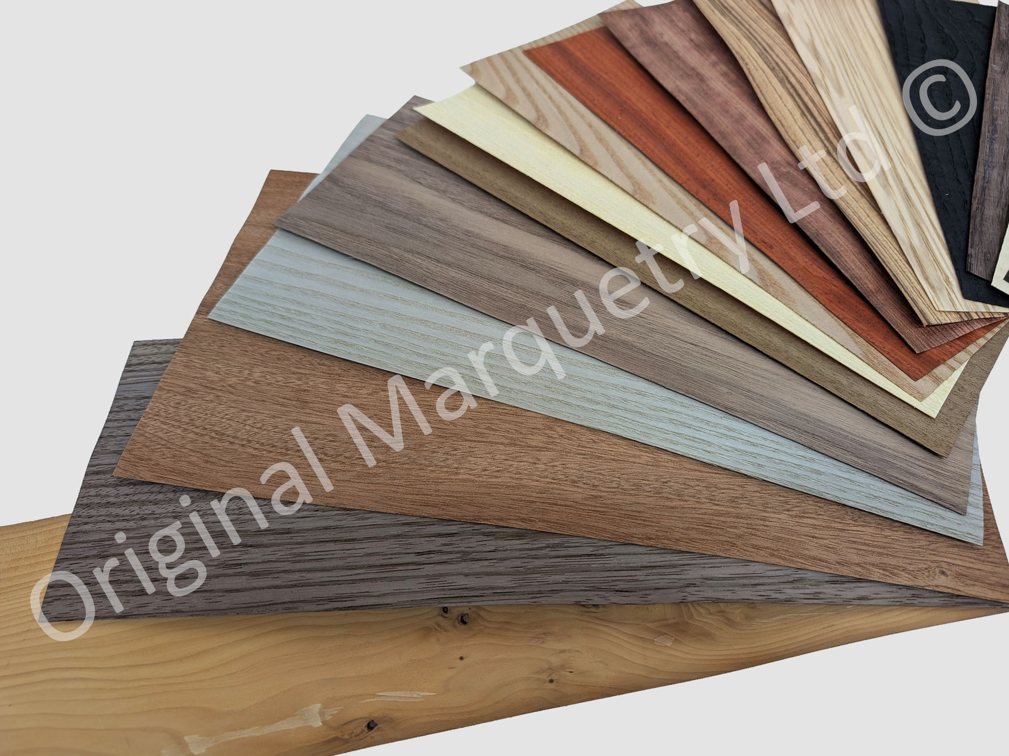 Deluxe Wood Veneer Packs - Large - 20 Leaves - Image 3