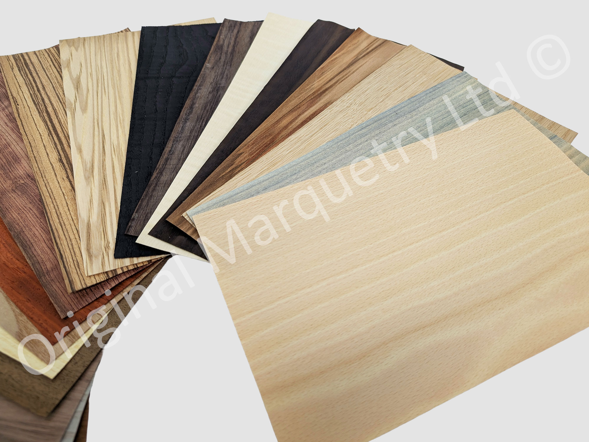 Deluxe Wood Veneer Packs - Large - 20 Leaves - Image 2