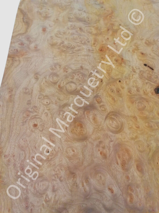 Burr Elm Wood Veneer - Image 2