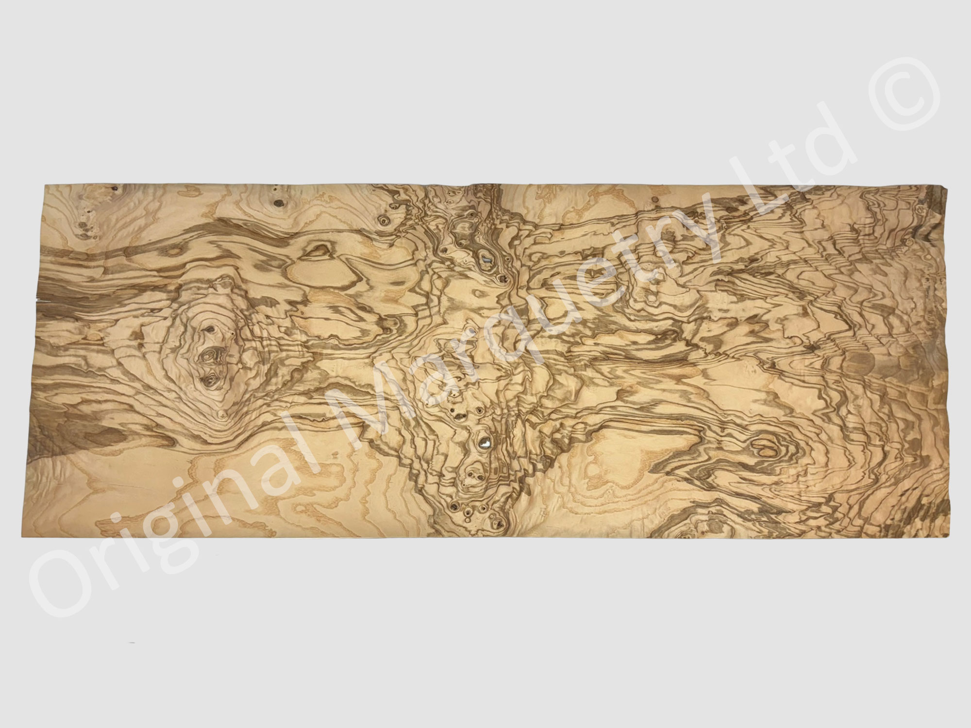 Olive Ash Burr Wood Veneer - Image 3
