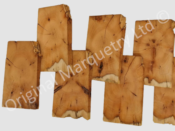 Yew Tree Oyster Wood Veneer 1.5mm - Image 2