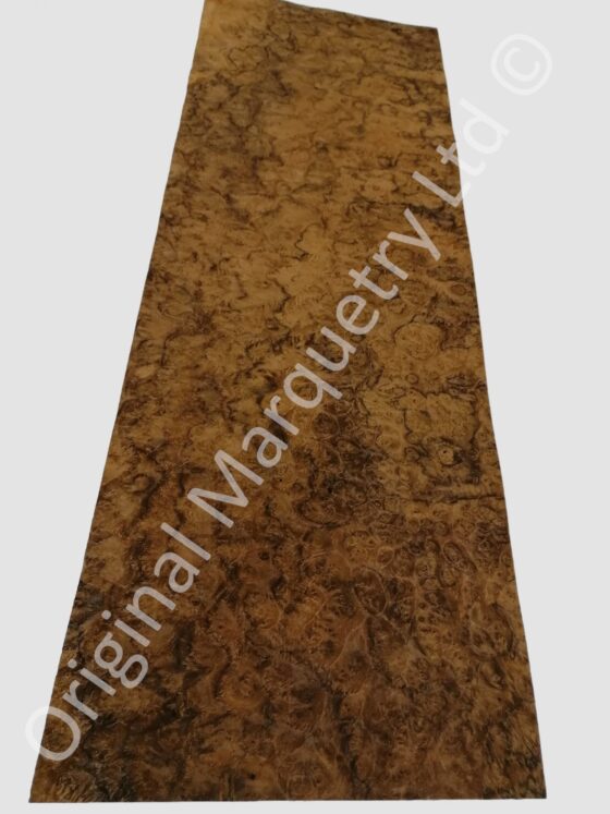 American Burr Walnut Wood Veneer