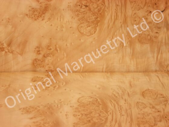 Burr Maple Cluster Wood Veneer - Image 2