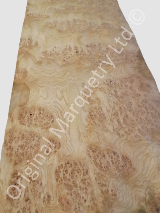 European Burr Oak Wood Veneer