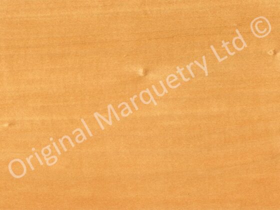 Orange Coloured Wood Veneer