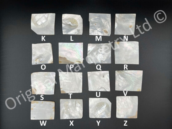 White Mother of Pearl Off Cuts - Image 2