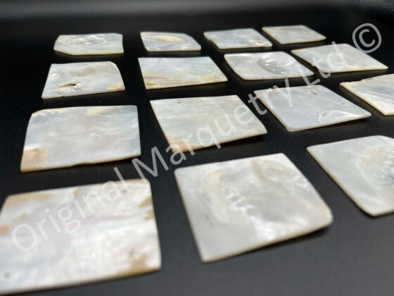 White Mother of Pearl Off Cuts - Image 3