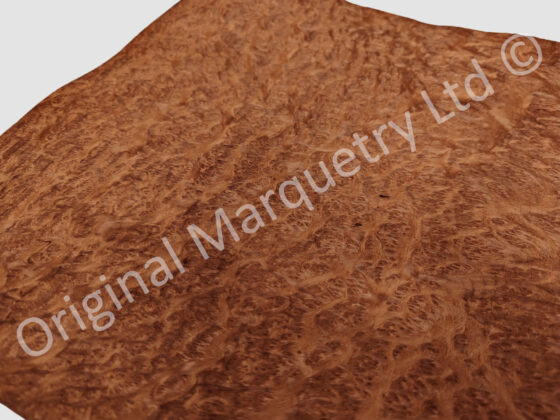 Burr Vavona Wood Veneer - Image 2