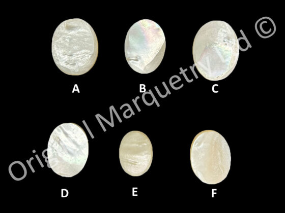 White Mother of Pearl Ovals - Ideal for Carving - Image 2