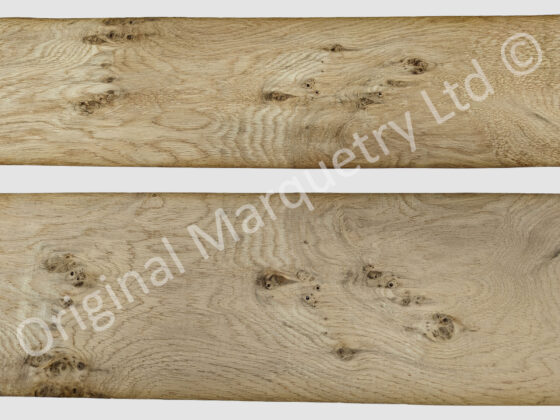 Pippy Oak Wood Veneer - Image 3