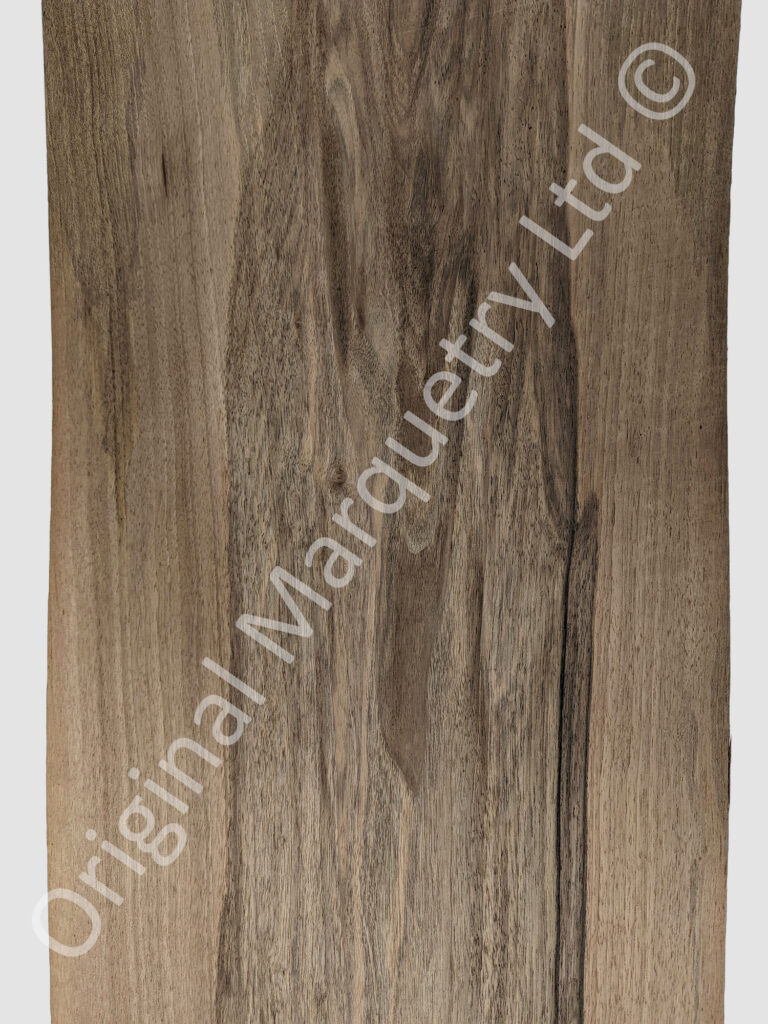 European Walnut Constructional Wood Veneer - English Walnut ...