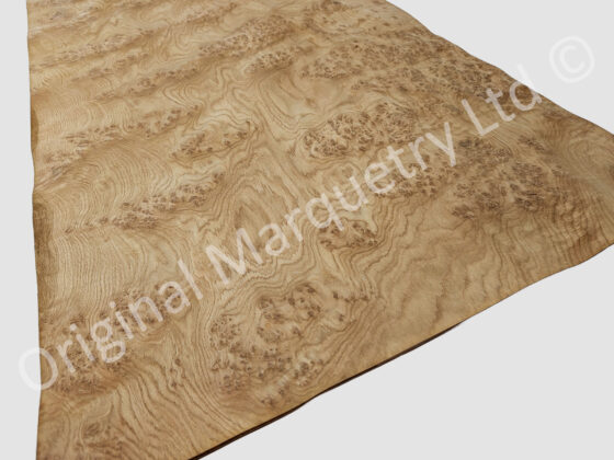 European Burr Oak Wood Veneer - Image 3